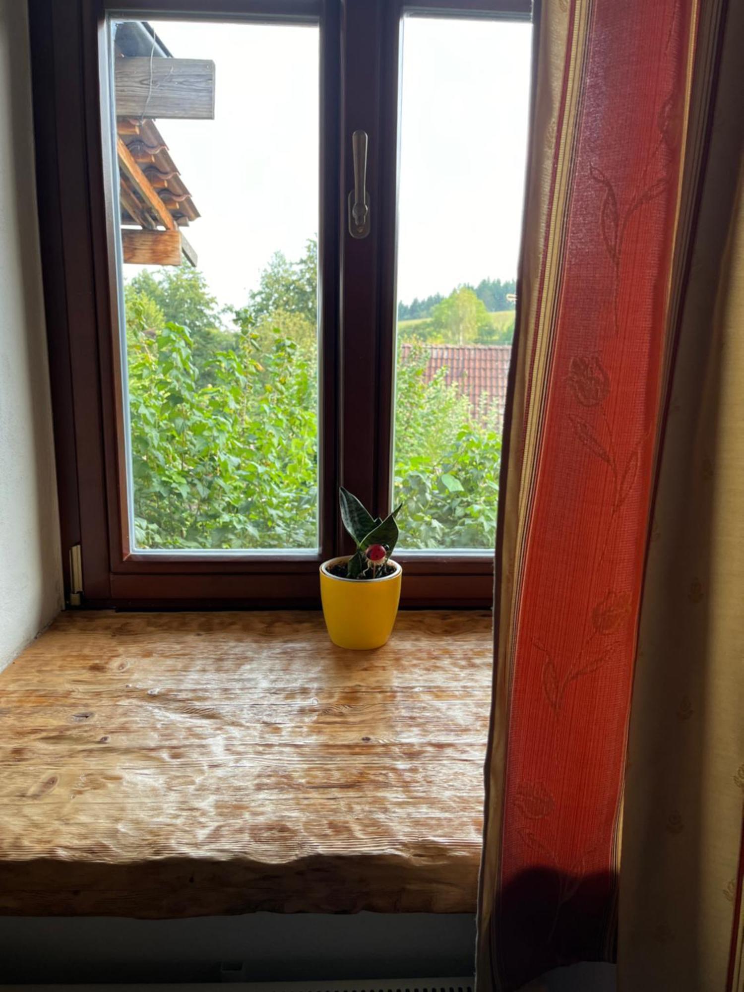 Apartment Pod Kozakem *